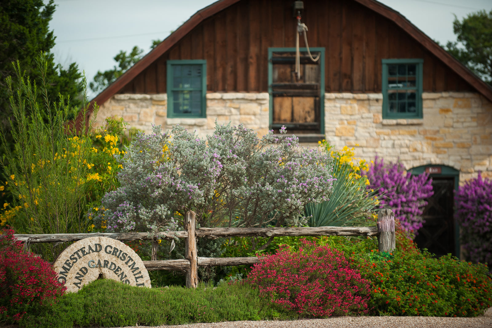 Rolled Oats - Homestead Gristmill