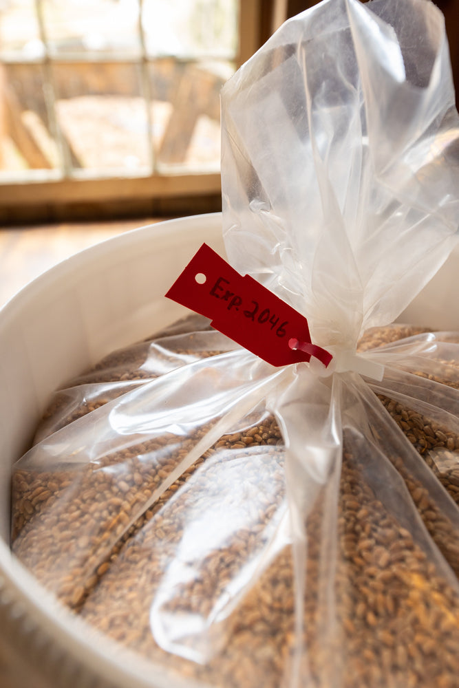 Emergency Food Bucket - Wheat Berries - Homestead Gristmill